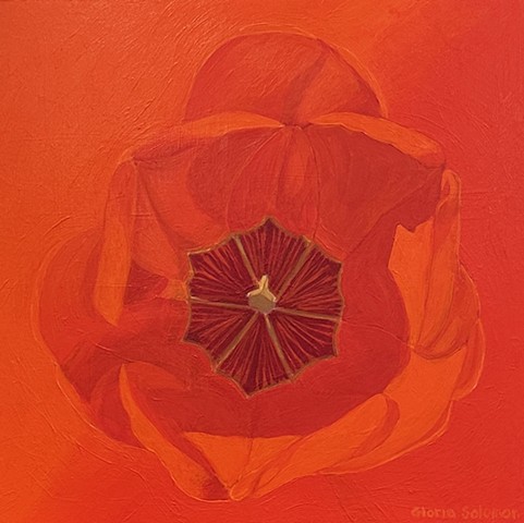 Red Tulip