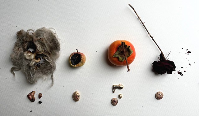 Material Studies