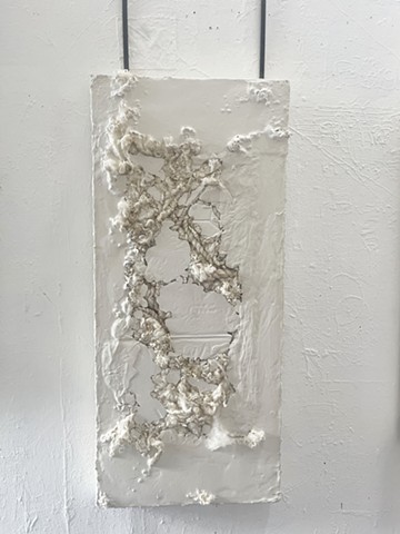wool + plaster
