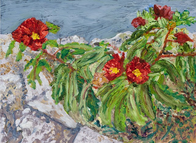Red Poppies