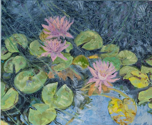 Mary Mayfield’s Lily Pond