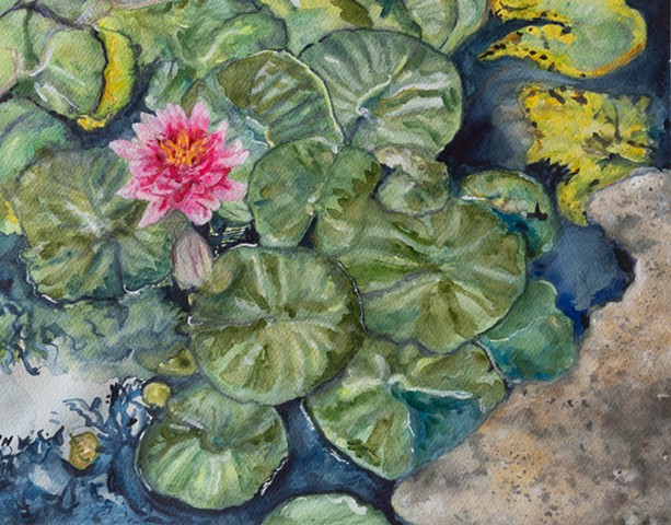 Mary Mayfield's Water Lilies