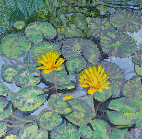 Lilies at Zilker Botanical Gardens