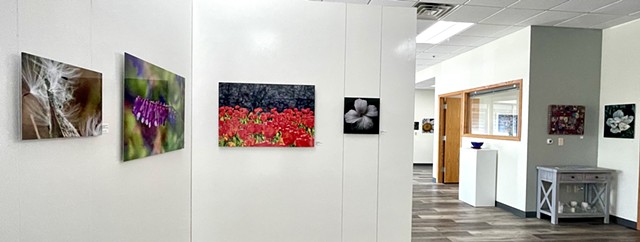 Art on Display 2