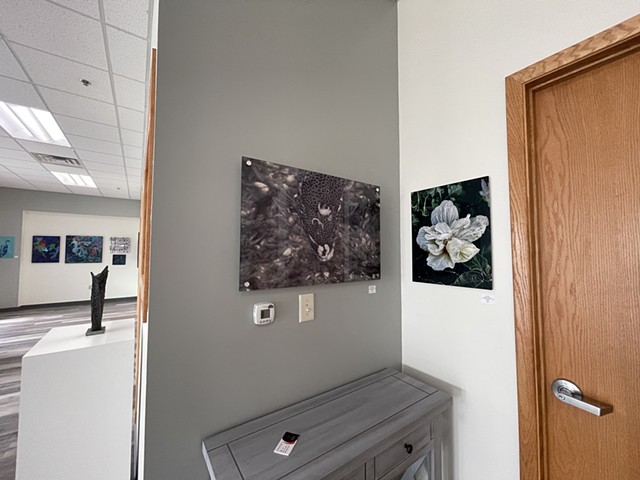 Art on Display 6
