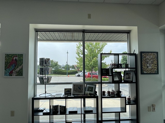 Art on Display 19