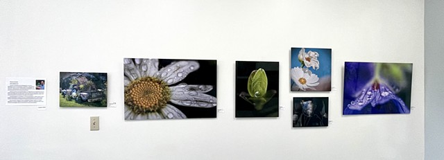 Art on Display 12