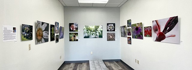 Art on Display 13
