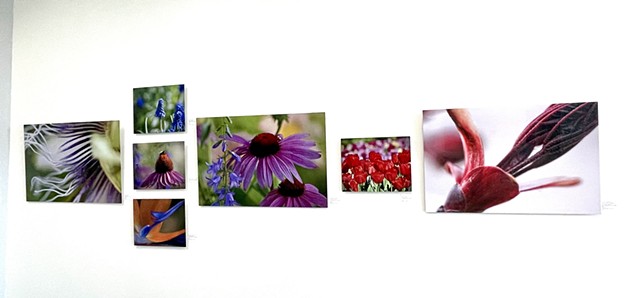 Art on Display 10