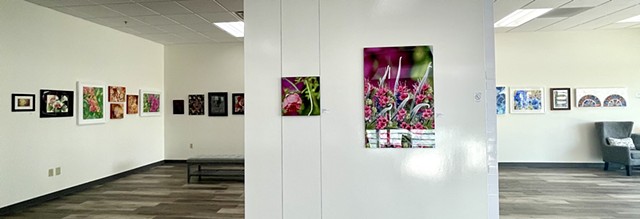 Art on Display 1