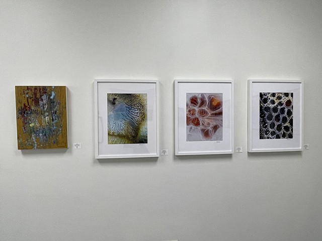 Art on Display 10