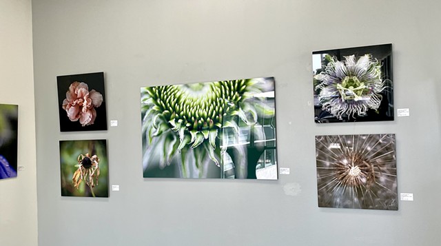 Art on Display 11