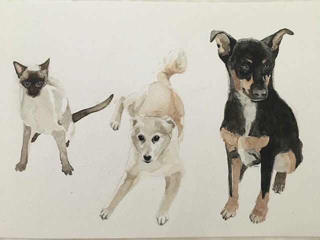 Watercolor of cat and two dogs