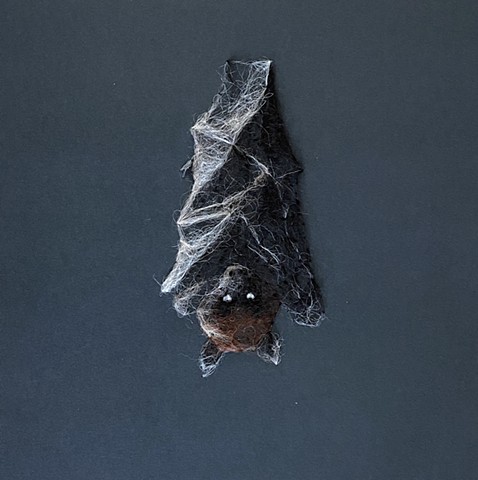 Living Bat