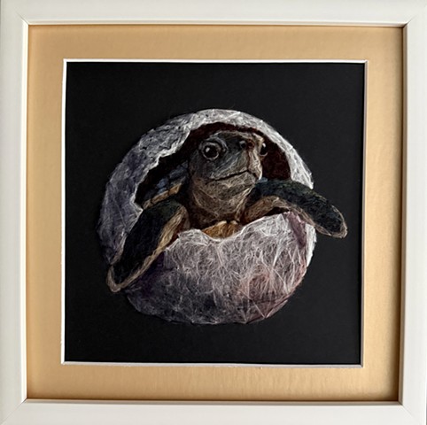 Baby sea turtle