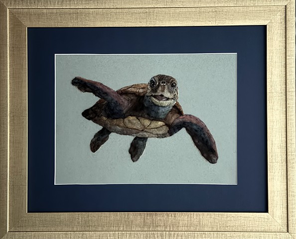 Sea Turtle