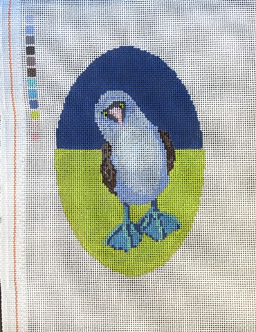 Blue Footed Booby