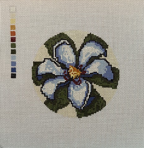 Ashe Magnolia