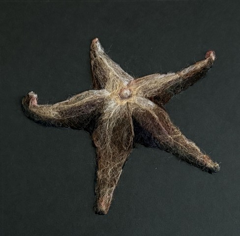 Starfish
