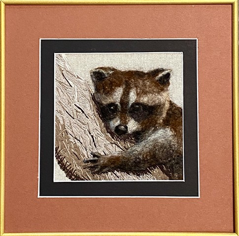 Living Raccoon 2