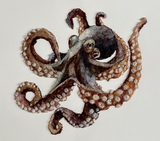 Octopus 