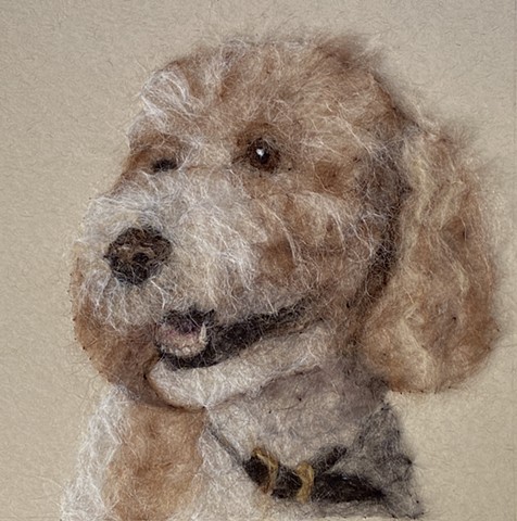Pet Portrait