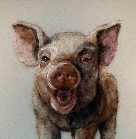 Pig