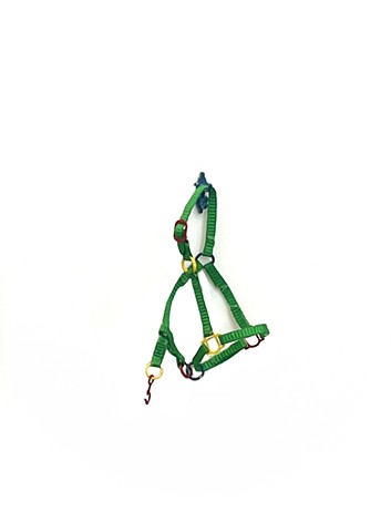 Green Halter