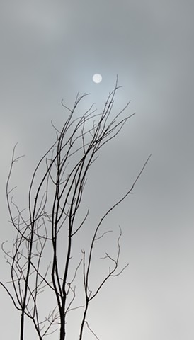Oct 31–Dec 19, 2025 | Coalition of Photographic Arts at Nadiana Art Gallery