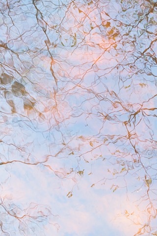 COLLEEN GUNDERSON 