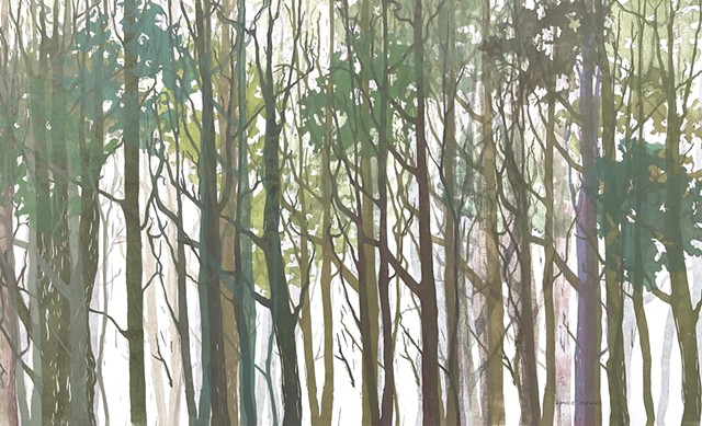 Maple Forests