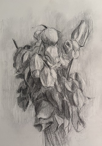 drawings
