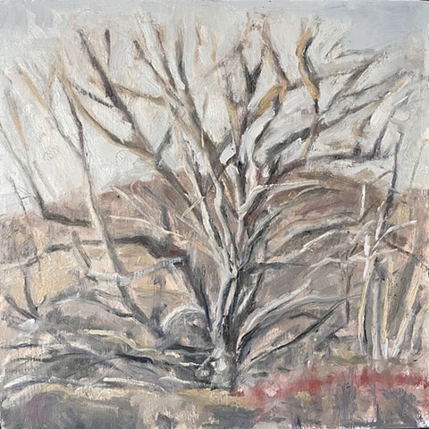 tree study