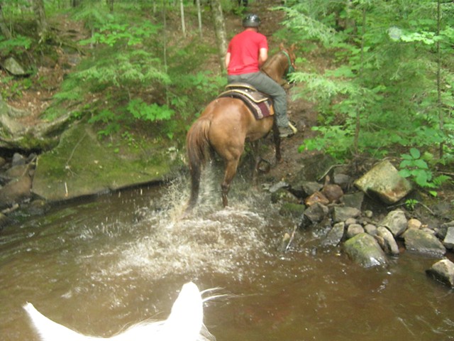 horse ny water