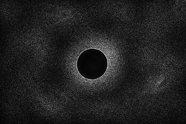 Black Hole (Seeds that were Stars)