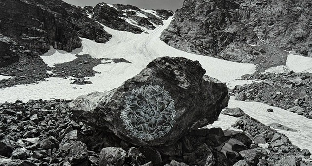 Ghost Flowers: Big Rooted Spring Beauty at Taylor Glacier, Colorado