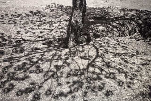 Manifestation I (The Tree that Grew From Granite)