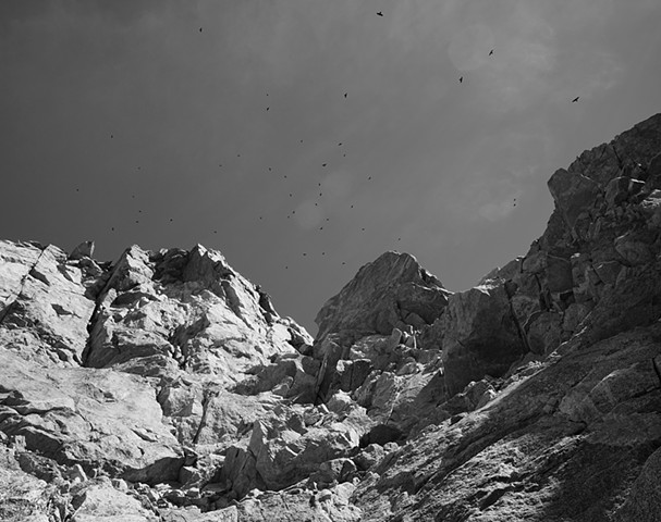 Ravens Above the Sawtooth