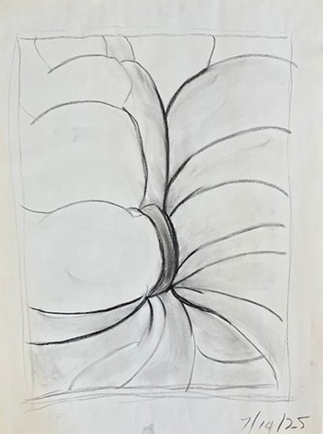 Canyon Drawing 2025.18