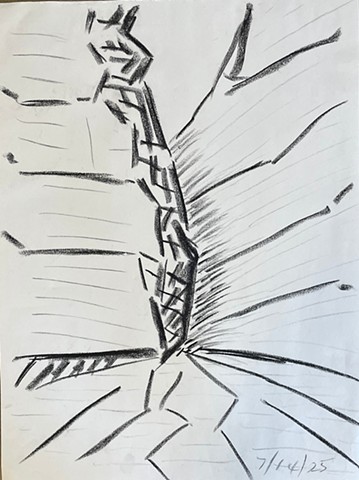 Canyon Drawing 2025.17