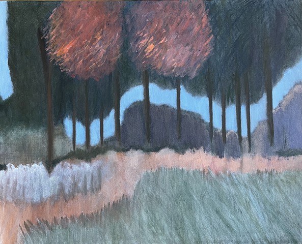 Prairie Series 19
