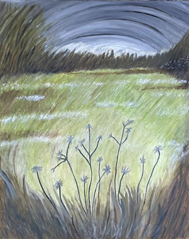 Prairie Series 24
