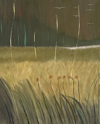 Prairie Series 17