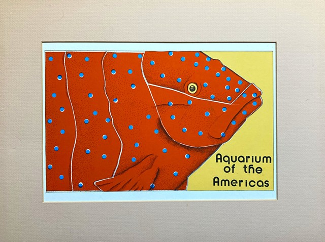 Aquarium Of Americas Graphic Art