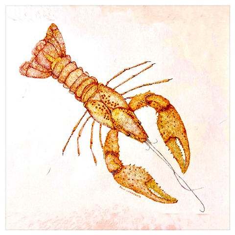 Crawfish, Ink Pointillism on Illustration Board by Emily Cammarata.