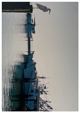 PHOTOGRAPHY
 (Updating Gallery)