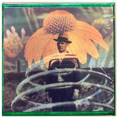 OTTO, Mixed Media Small Work Art by Emily Cammarata.