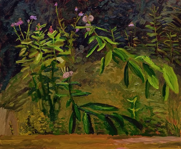 Amanda Buckley Paintings
