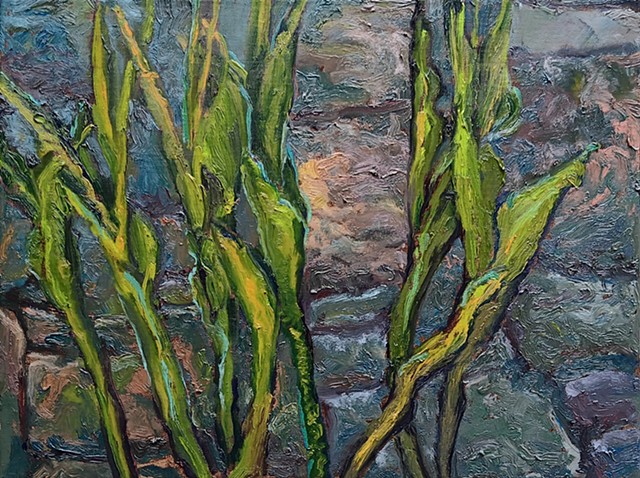 Tulip Stems