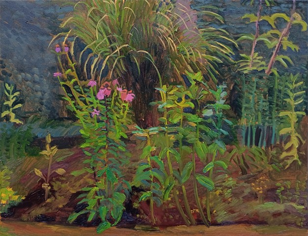 Amanda Buckley Paintings